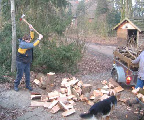 Bjrn spaltet Holz